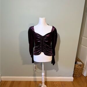 Express Deep Purple Velvet Blouse